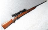 Ruger M77 in 7MM Rem Mag - 1 of 7