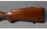 Winchester Mod. 70 Pre-64 .300 H&H Magnum - 6 of 9