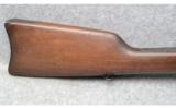Remington 1879 E. N. MODELO ARGENTINO - 2 of 7