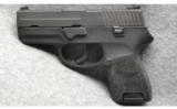 Sig Sauer P250 in 40 S&W - 2 of 2