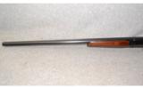 Winchester Model 24 12 ga Side by Side - 6 of 9