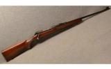 Winchester Model 70 in .22 Hornet Pre 64 - 1 of 9