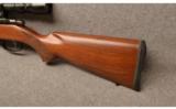 CZ 527 American .223 Remington with optics - 9 of 9