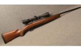 Browning X-Bolt in .243 Win with Scope Left Handed - 1 of 9
