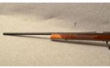 Weatherby Mark XXII in .17HMR - 6 of 9