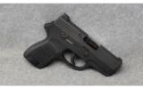 Sig Sauer P250 in 40 S&W - 1 of 2