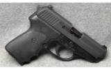 Sig Sauer P239
.40 S&W - 1 of 3