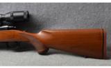 Ruger M77 in .243 Winchester - 9 of 9