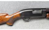 Winchester Model 1212 ga. Beautiful Furniture - 2 of 9