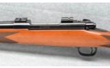Winchester Model 70 XTR Sporter .300 WBY - 5 of 8