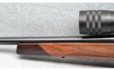 Weatherby ~ Vanguard ~ .257 Wby. Mag. - 7 of 9