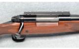 Winchester ~ 70 Sporter ~ 7mm Rem. Mag. - 3 of 9