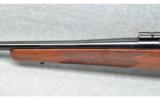 Winchester ~ 70 Sporter ~ 7mm Rem. Mag. - 7 of 9