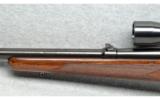 Winchester ~ pre '64 Model 70 ~ .30-06 Sprfld. - 7 of 9