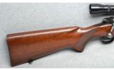 Winchester ~ Pre-'64 Model 70 ~ .270 Win. - 2 of 9