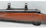 Winchester Model 70 Westerner - 8 of 10