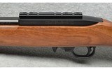 Ruger ~ 10/22 custom ~ .22 LR - 8 of 10
