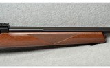 Ruger ~ 10/22 custom ~ .22 LR - 4 of 10