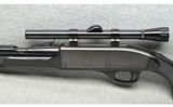 Remington ~ Nylon 66 "Black Diamond" ~ .22 LR - 8 of 11