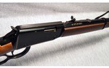 Henry Repeating Arms ~ H001T ~ .22 S, L, LR - 9 of 10