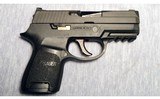 Sig Sauer ~ P250 ~ 9mm - 1 of 4