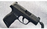 Sig Sauer ~ P365 ~ 9mm - 1 of 4