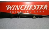 Winchester ~ 70 ~ .308 Winchester - 11 of 11