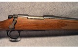 Remington ~ 700 ~ .17 Remington - 3 of 10