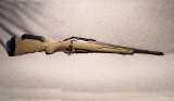 Ruger ~ American ~ .308 Winchester