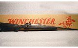 Winchester ~ 70 ~ .223 WSSM - 10 of 10