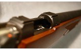 CZ ~ 527 Varmint ~ .204 Ruger - 6 of 11