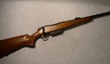 Browning ~ A-Bolt ~ 12 Gauge - 1 of 13