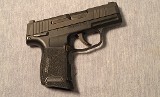 Sig Sauer ~ P365 ~ .380 ACP - 1 of 6