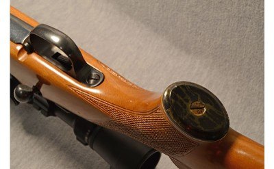 CZ ~ Mark X ~ .223 Remington - Image 7 of 10
