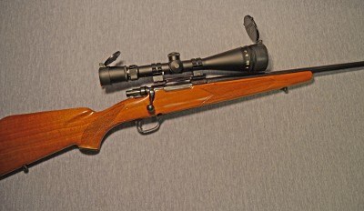 CZ ~ Mark X ~ .223 Remington - Image 1 of 10