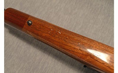Miroku/Browning ~ A-Bolt Medallion ~ 12 Gauge - Image 11 of 13