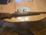 Winchester Model 70 264 Winchester Magnum 1965