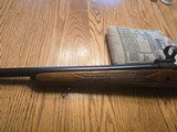 Winchester Model 70 264 Winchester Magnum 1965 - 9 of 15