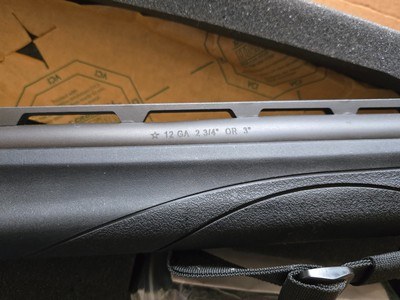 Remington TAC-13 ANIB - Image 4 of 11