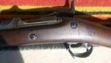 Near Mint Springield Trapdoor 1884, the best there is! - 7 of 13