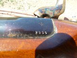 Parker Hale Enfield 3-band musket excellent and English made - 6 of 6
