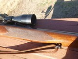 Winchester Model 70 .257 Roberts, made 1951, excellent condition - 3 of 8