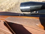 Winchester Model 70 .257 Roberts, made 1951, excellent condition - 7 of 8