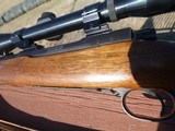 Winchester Model 70 .257 Roberts, made 1951, excellent condition - 6 of 8