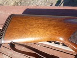 Winchester Model 70 .257 Roberts, made 1951, excellent condition - 4 of 8