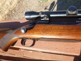 Winchester Model 70 .257 Roberts, made 1951, excellent condition - 2 of 8
