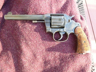 Colt New Service 6
