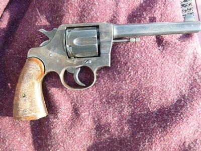 Colt New Service 6