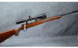 Ruger M77 MKII 7MM Remington Maganum - 1 of 9