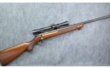Winchester Model 75
Sporter
.22LR - 1 of 9